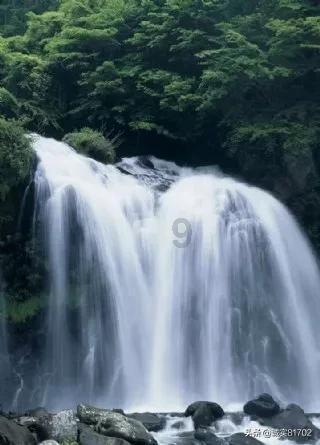 植物大战僵尸7